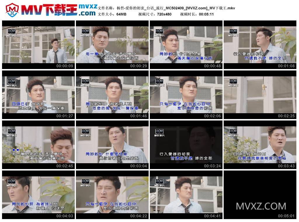 杨哲-爱你的初衷_台语_流行_MC502409